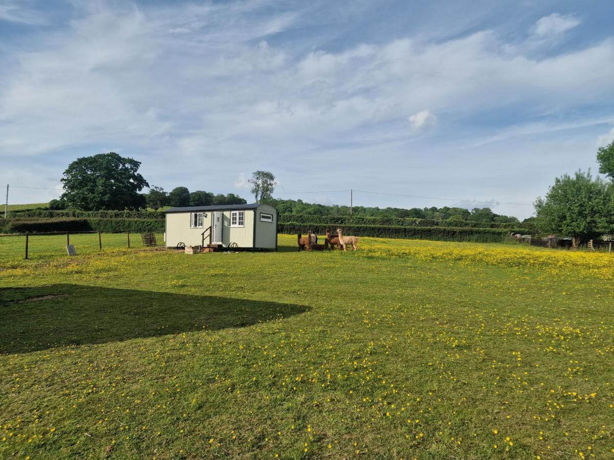 Cwtch Glamping Shepherds Huts Abergavenny Exterior foto